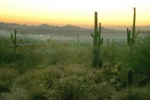 Upper Canyon at Silverleaf 1613