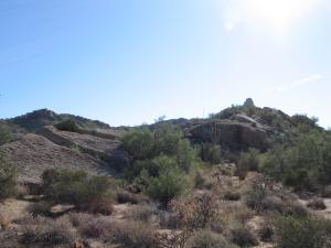 Non-HOA Section 31 1