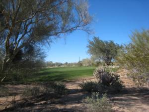 Serenity at Grayhawk 6
