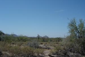 Preserve Summit 23