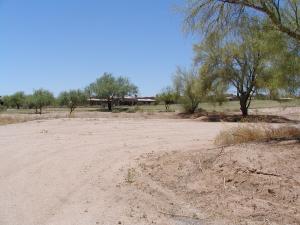 Tonto Verde 544