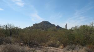 Other Boulder Area Property None