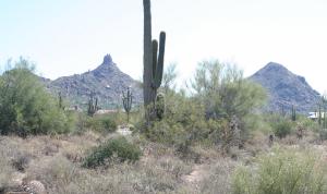 Monument at Troon North 10