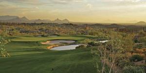 Saguaro Forest 84
