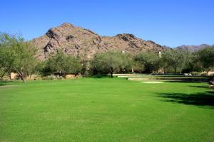 The Parks at Silverleaf 1304