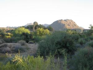 Pinnacle Canyon at Troon North 84