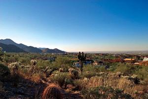 The Hillside at Silverleaf 1402