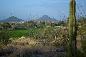 Estancia 215