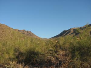 Upper Canyon at Silverleaf 1534