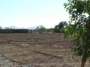 Arcadia at Silverleaf 3602