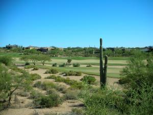 Gambel Quail Preserve 247