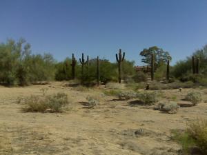 Pinnacle Peak Estates 1 26