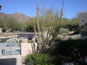 Terravita home for sale