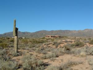 Lone Mountain II 48