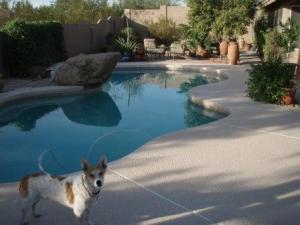 Ironwood Village home for sale