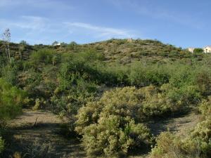 Tonto Hills 12