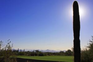 Desert Highlands 671