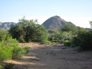 Pinnacle Foothills 8