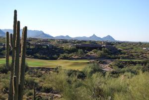 Gambel Quail Preserve 267
