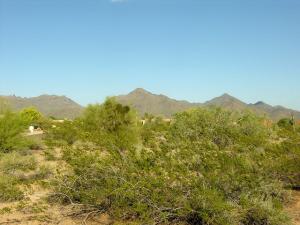 Pima Acres 118