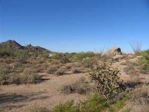 Westland Estates 4