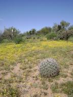 South of Rio Verde 2