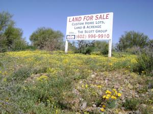 South of Rio Verde 5Lots