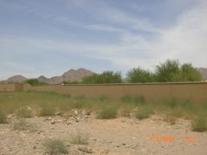 Arcadia at Silverleaf 3676