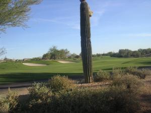 Terravita home for sale