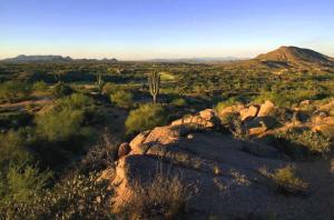 Cochise-Geronimo Village 2