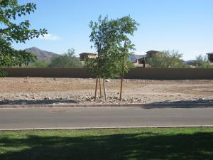 Arcadia at Silverleaf 3678