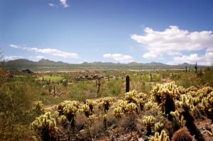 Horseshoe Canyon at Silverleaf 2406
