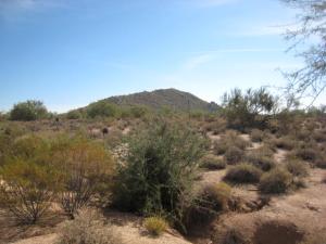 Whisper Rock 74