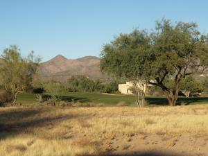 Tonto Verde 245