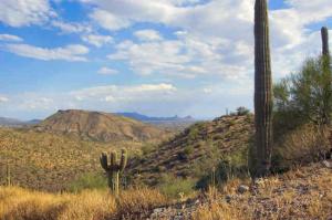 Carefree Ranch Homesteads 17