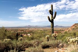 Upper Canyon at Silverleaf 1490
