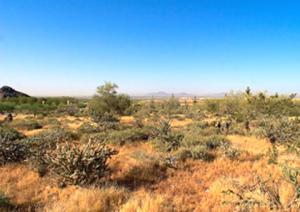 Horseshoe Canyon at Silverleaf 2911