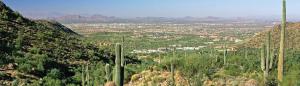 Horseshoe Canyon at Silverleaf 3208