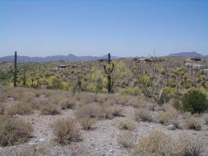 Ranch Highlands 17