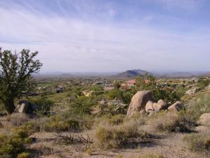 Tonto Hills 163
