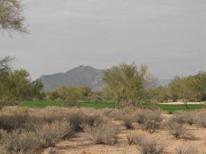 Whisper Rock 52