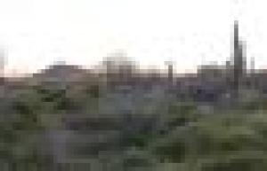 Whisper Rock 175