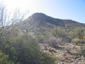 Desert Crest 3 74