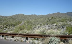 Carefree Ranch Homesteads 7