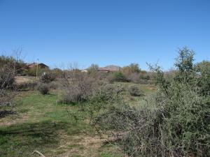 Rio Mountain Estates 7