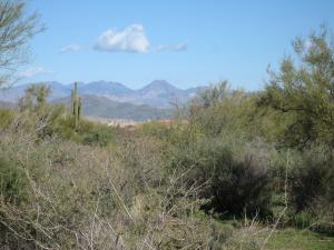 Sunrise Desert Vistas 14
