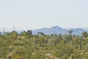 Non-HOA Pinnacle Peak Area A