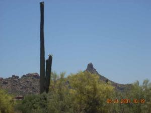 Monument at Troon North 11