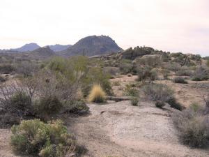 Pinnacle Canyon at Troon North 18
