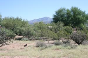 Rio Verde 1220
